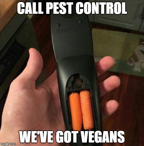 Vegan Remote | CALL PEST CONTROL; WE'VE GOT VEGANS | image tagged in vegans | made w/ Imgflip meme maker