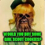 Tis the season, who wants some girl scout 
Wookies? | WOULD YOU BUY SOME GIRL SCOUT COOKIES? | image tagged in girl scout cookies,wookies,funny memes | made w/ Imgflip meme maker