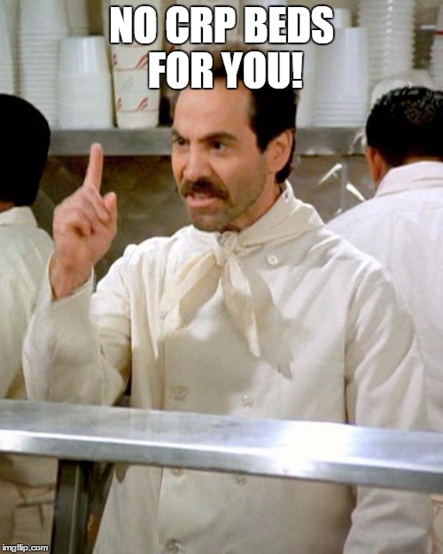 soup nazi | NO CRP BEDS FOR YOU! | image tagged in soup nazi | made w/ Imgflip meme maker