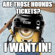 Hockey Minion | ARE THOSE HOUNDS TICKETS? I WANT IN! | image tagged in hockey minion | made w/ Imgflip meme maker