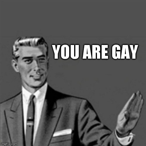 You are gay | YOU ARE GAY | image tagged in correction guy | made w/ Imgflip meme maker