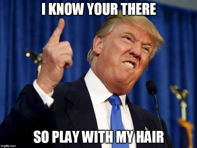 I KNOW YOUR THERE; SO PLAY WITH MY HAIR | image tagged in trump | made w/ Imgflip meme maker