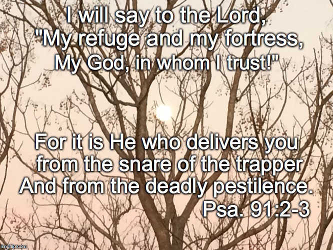 I will say to the Lord, "My refuge and my fortress, My God, in whom I trust!"; For it is He who delivers you from the snare of the trapper; And from the deadly pestilence. Psa. 91:2-3 | image tagged in trust | made w/ Imgflip meme maker