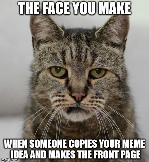 Disappointment Cat | THE FACE YOU MAKE; WHEN SOMEONE COPIES YOUR MEME IDEA AND MAKES THE FRONT PAGE | image tagged in memes,grumpy cat | made w/ Imgflip meme maker