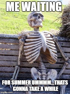 Waiting Skeleton Meme | ME WAITING; FOR SUMMER UMMMM...THATS GONNA TAKE A WHILE | image tagged in memes,waiting skeleton | made w/ Imgflip meme maker