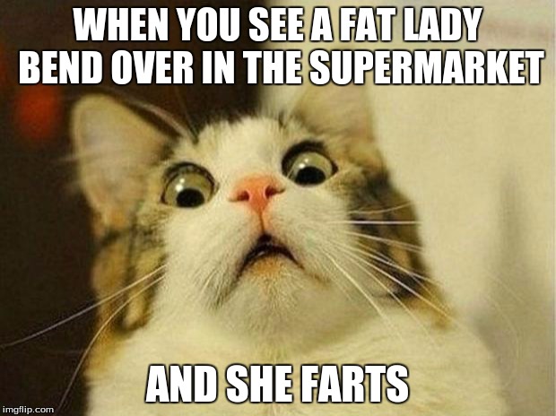 Scared Cat Meme | WHEN YOU SEE A FAT LADY BEND OVER IN THE SUPERMARKET; AND SHE FARTS | image tagged in memes,scared cat | made w/ Imgflip meme maker