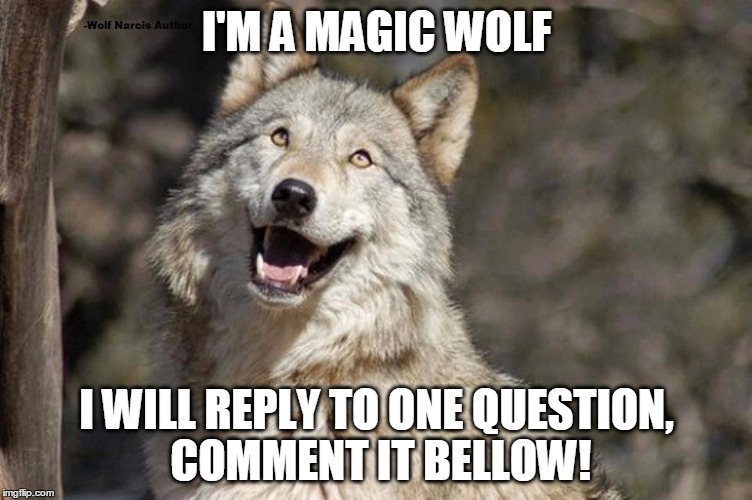 Optimistic Moon Moon Wolf Vanadium Wolf | I'M A MAGIC WOLF; I WILL REPLY TO ONE QUESTION, COMMENT IT BELLOW! | image tagged in optimistic moon moon wolf vanadium wolf | made w/ Imgflip meme maker