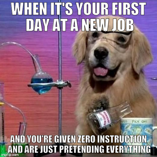 I Have No Idea What I Am Doing Dog | WHEN IT'S YOUR FIRST DAY AT A NEW JOB; AND YOU'RE GIVEN ZERO INSTRUCTION AND ARE JUST PRETENDING EVERYTHING | image tagged in memes,i have no idea what i am doing dog | made w/ Imgflip meme maker