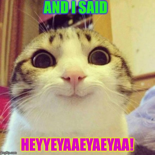 I said HEY!What's going on?! | AND I SAID; HEYYEYAAEYAEYAA! | image tagged in memes,smiling cat | made w/ Imgflip meme maker