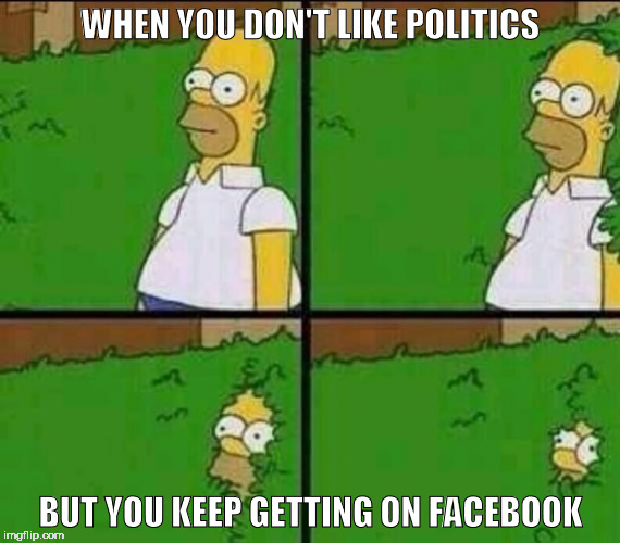 Homer Simpson in Bush - Large | WHEN YOU DON'T LIKE POLITICS; BUT YOU KEEP GETTING ON FACEBOOK | image tagged in homer simpson in bush - large | made w/ Imgflip meme maker