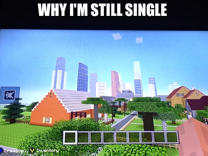 WHY I'M STILL SINGLE | image tagged in minecraft,single,gaming | made w/ Imgflip meme maker