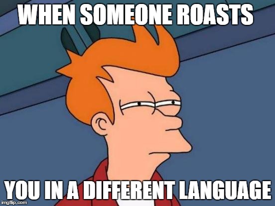 Futurama Fry | WHEN SOMEONE ROASTS; YOU IN A DIFFERENT LANGUAGE | image tagged in memes,futurama fry | made w/ Imgflip meme maker