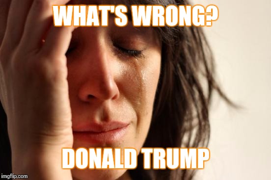 First World Problems | WHAT'S WRONG? DONALD TRUMP | image tagged in memes,first world problems | made w/ Imgflip meme maker