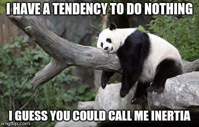lazy panda | I HAVE A TENDENCY TO DO NOTHING; I GUESS YOU COULD CALL ME INERTIA | image tagged in lazy panda | made w/ Imgflip meme maker