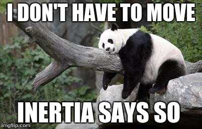 lazy panda | I DON'T HAVE TO MOVE; INERTIA SAYS SO | image tagged in lazy panda | made w/ Imgflip meme maker