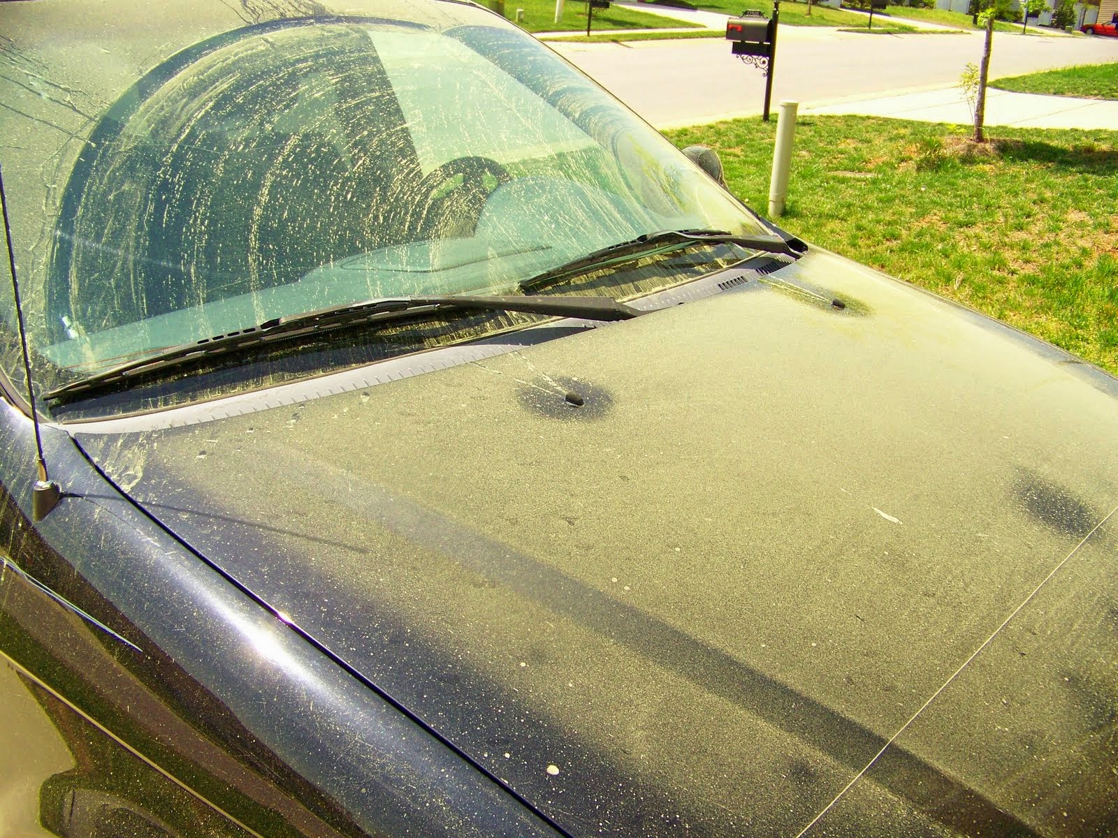 Pollen Covered Car Blank Meme Template