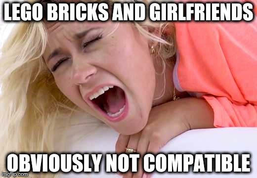 Test results are in… | LEGO BRICKS AND GIRLFRIENDS; OBVIOUSLY NOT COMPATIBLE | image tagged in screaming girlfriend,memes,funny,lego,girlfriend,lego week | made w/ Imgflip meme maker