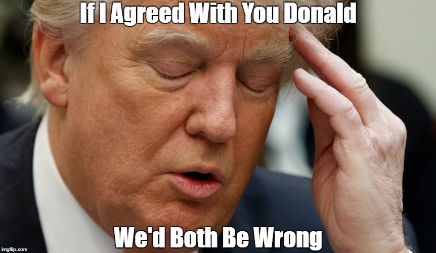 If I Agreed With You Donald, We'd Both Be Wrong | If I Agreed With You Donald; We'd Both Be Wrong | image tagged in trump,wrong,dimwit donald,how can he be right when nearly everything he says is a lie | made w/ Imgflip meme maker
