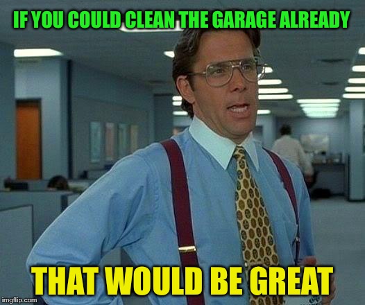 That Would Be Great Meme | IF YOU COULD CLEAN THE GARAGE ALREADY THAT WOULD BE GREAT | image tagged in memes,that would be great | made w/ Imgflip meme maker