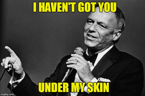 I HAVEN'T GOT YOU UNDER MY SKIN | made w/ Imgflip meme maker