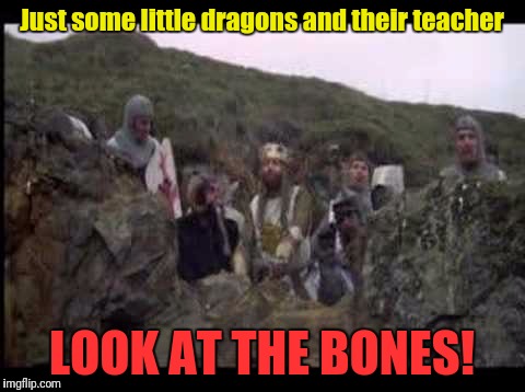 Just some little dragons and their teacher LOOK AT THE BONES! | made w/ Imgflip meme maker