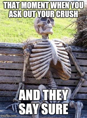 Waiting Skeleton Meme | THAT MOMENT WHEN YOU ASK OUT YOUR CRUSH; AND THEY SAY SURE | image tagged in memes,waiting skeleton | made w/ Imgflip meme maker