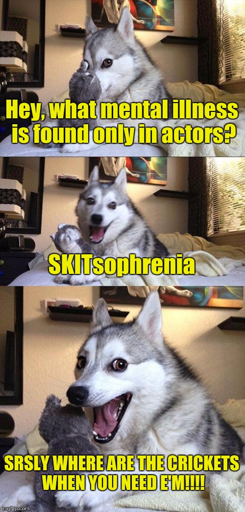 Bad Pun Dog Meme | Hey, what mental illness is found only in actors? SKITsophrenia; SRSLY WHERE ARE THE CRICKETS WHEN YOU NEED E'M!!!! | image tagged in memes,bad pun dog | made w/ Imgflip meme maker