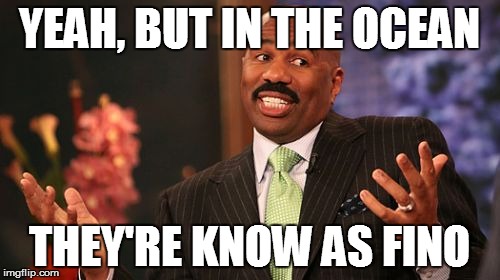 Steve Harvey Meme | YEAH, BUT IN THE OCEAN THEY'RE KNOW AS FINO | image tagged in memes,steve harvey | made w/ Imgflip meme maker