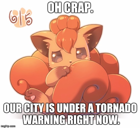 OH CRAP. OUR CITY IS UNDER A TORNADO WARNING RIGHT NOW. | image tagged in memes,scared vulpix | made w/ Imgflip meme maker