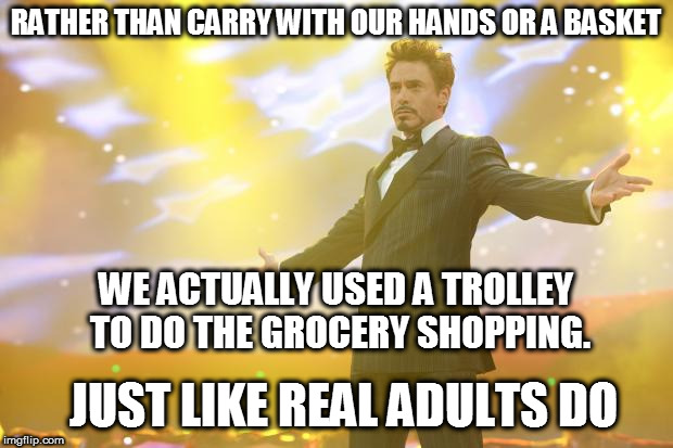 But I still forgot the butter... | RATHER THAN CARRY WITH OUR HANDS OR A BASKET; WE ACTUALLY USED A TROLLEY TO DO THE GROCERY SHOPPING. JUST LIKE REAL ADULTS DO | image tagged in tony stark success,shopping,adult,grown up,don't wanna,money | made w/ Imgflip meme maker