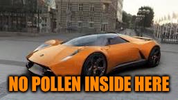 NO POLLEN INSIDE HERE | made w/ Imgflip meme maker