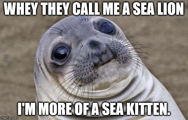 Awkward Moment Sealion Meme | WHEY THEY CALL ME A SEA LION; I'M MORE OF A SEA KITTEN. | image tagged in memes,awkward moment sealion | made w/ Imgflip meme maker