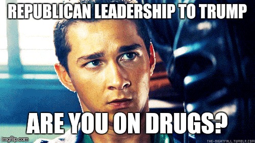 DOH! | REPUBLICAN LEADERSHIP TO TRUMP; ARE YOU ON DRUGS? | image tagged in trump | made w/ Imgflip meme maker