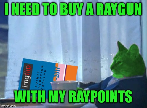 RayCat redeeming points | I NEED TO BUY A RAYGUN WITH MY RAYPOINTS | image tagged in raycat redeeming points | made w/ Imgflip meme maker
