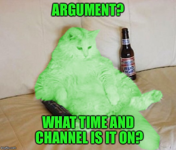 RayCat Chillin' | ARGUMENT? WHAT TIME AND CHANNEL IS IT ON? | image tagged in raycat chillin' | made w/ Imgflip meme maker