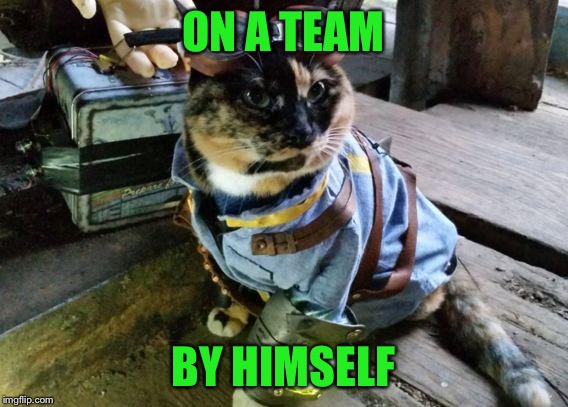 Fallout RayCat | ON A TEAM BY HIMSELF | image tagged in fallout raycat | made w/ Imgflip meme maker