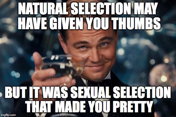 Leonardo Dicaprio Cheers | NATURAL SELECTION MAY HAVE GIVEN YOU THUMBS; BUT IT WAS SEXUAL SELECTION THAT MADE YOU PRETTY | image tagged in memes,leonardo dicaprio cheers | made w/ Imgflip meme maker