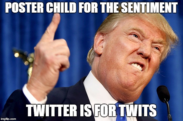 Donald Trump | POSTER CHILD FOR THE SENTIMENT; TWITTER IS FOR TWITS | image tagged in donald trump | made w/ Imgflip meme maker
