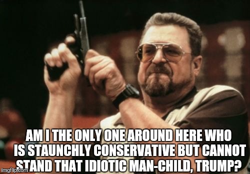 Am I The Only One Around Here Meme | AM I THE ONLY ONE AROUND HERE WHO IS STAUNCHLY CONSERVATIVE BUT CANNOT STAND THAT IDIOTIC MAN-CHILD, TRUMP? | image tagged in memes,am i the only one around here | made w/ Imgflip meme maker
