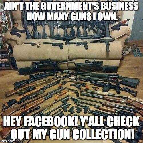 Love guns2 | AIN'T THE GOVERNMENT'S BUSINESS HOW MANY GUNS I OWN. HEY FACEBOOK! Y'ALL CHECK OUT MY GUN COLLECTION! | image tagged in love guns2 | made w/ Imgflip meme maker