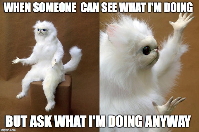 Persian Cat Room Guardian | WHEN SOMEONE  CAN SEE WHAT I'M DOING; BUT ASK WHAT I'M DOING ANYWAY | image tagged in memes,persian cat room guardian | made w/ Imgflip meme maker