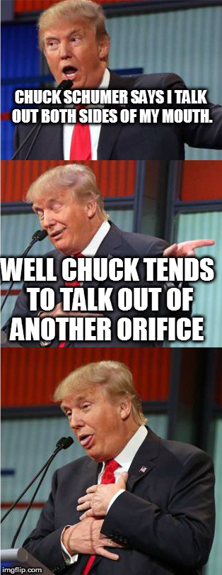 Bad Pun Trump | CHUCK SCHUMER SAYS I TALK OUT BOTH SIDES OF MY MOUTH. WELL CHUCK TENDS TO TALK OUT OF ANOTHER ORIFICE | image tagged in bad pun trump | made w/ Imgflip meme maker