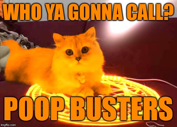 RayCat Powers | WHO YA GONNA CALL? POOP BUSTERS | image tagged in raycat powers | made w/ Imgflip meme maker