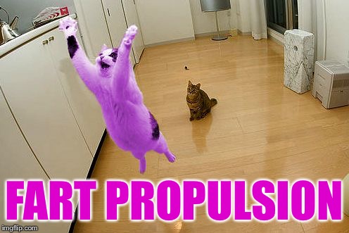 RayCat save the world | FART PROPULSION | image tagged in raycat save the world | made w/ Imgflip meme maker