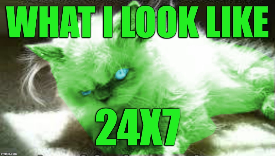 mad raycat | WHAT I LOOK LIKE 24X7 | image tagged in mad raycat | made w/ Imgflip meme maker