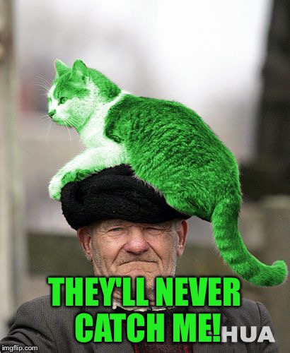 Cat on a Hat | THEY'LL NEVER CATCH ME! | image tagged in cat on a hat | made w/ Imgflip meme maker