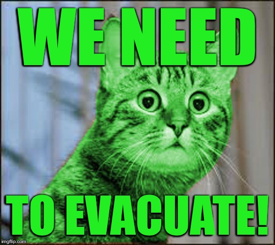 RayCat WTF | WE NEED TO EVACUATE! | image tagged in raycat wtf | made w/ Imgflip meme maker