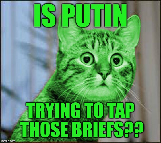 RayCat WTF | IS PUTIN TRYING TO TAP THOSE BRIEFS?? | image tagged in raycat wtf | made w/ Imgflip meme maker