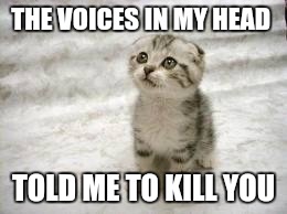 Sad Cat | THE VOICES IN MY HEAD; TOLD ME TO KILL YOU | image tagged in memes,sad cat | made w/ Imgflip meme maker