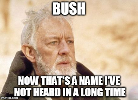 Obi Wan Kenobi Meme | BUSH; NOW THAT'S A NAME I'VE NOT HEARD IN A LONG TIME | image tagged in memes,obi wan kenobi | made w/ Imgflip meme maker